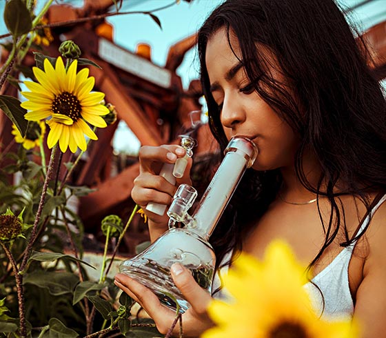 Girl in outdoors using a glass pipe bong, with sunflowers around her.