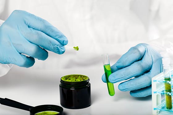 Plant extracts being tested in a lab, hands with glue gloved and test tube.