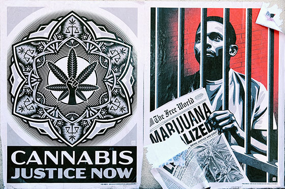 Colorado and Washington legalized recreational marijuana in 2012