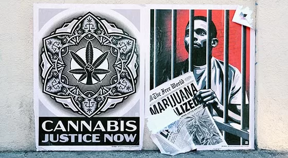 Poster saying 'Cannabis Justice Now', about legalization of marijuana