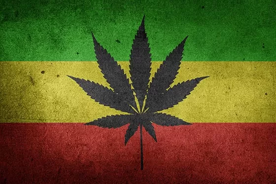 Mexican flag with cannabis leaf