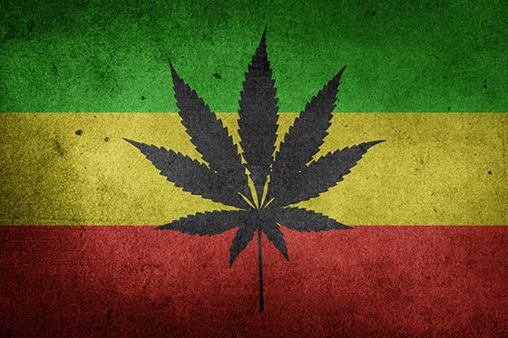 Mexican flag with cannabis leaf